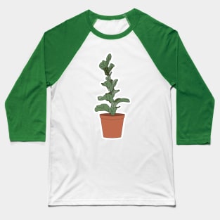 Fiddle Leaf Fig Baseball T-Shirt